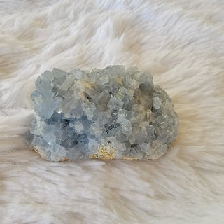 Celestite Clusters