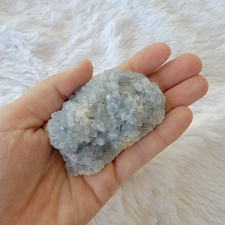 Celestite Clusters