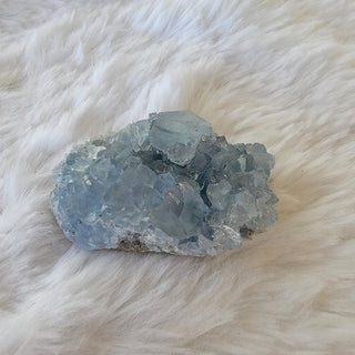 Celestite Clusters