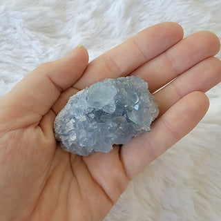 Celestite Clusters