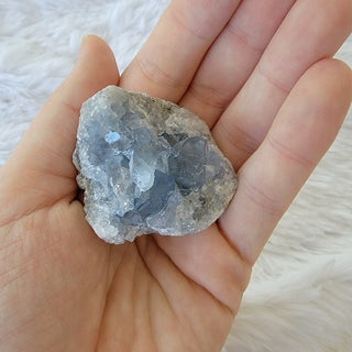 Celestite Clusters