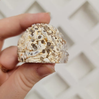 Agate Geode
