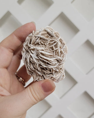 Desert Rose Raw