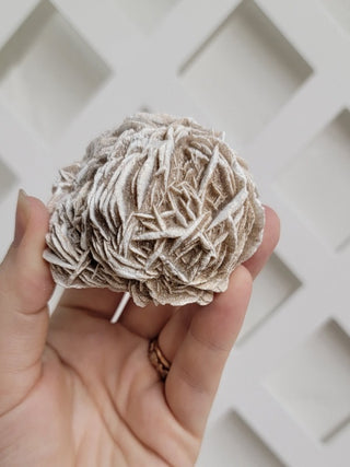 Desert Rose Raw